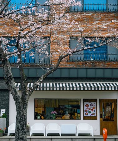 4D3N • A Great Travel Destination: Jeju Island, South Korea