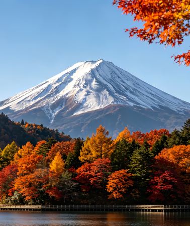 5D4N • A comfortable leisure holiday journey exploring Tokyo and Mount Fuji, experience the unique charm of Japan's urban scenery and natural snow-capped peaks