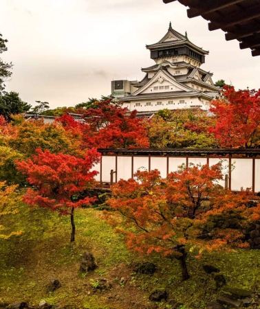 5D4N • Kyushu charming exploration: Yufuin + Yunotsubo Fairy Tale Town + Kinrin Lake + Kokura Castle + Shiranoe Botanical Garden + Hita Mamedamachi Old Town + Nokonoshima Island Park