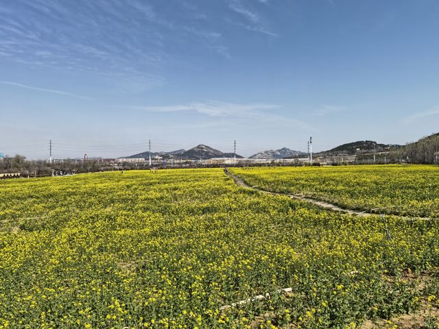青岛西海岸生态观光园旅行图片 3