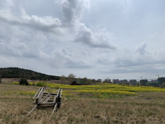 青岛西海岸生态观光园旅行图片 4