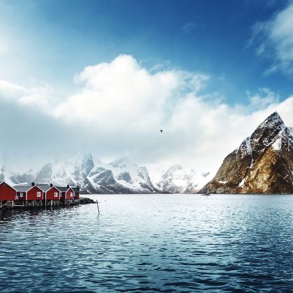 冰岛+格陵兰+斯瓦尔巴群岛20日跟团游