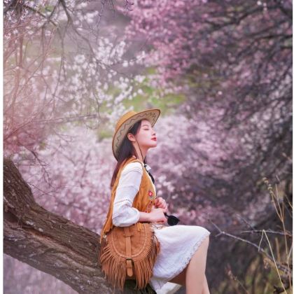 新疆北疆+伊犁+赛里木湖5日4晚私家团