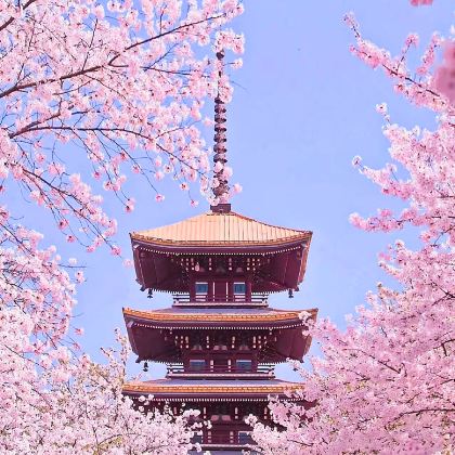 武汉3日2晚拼小团