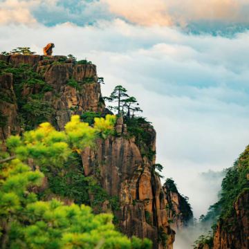 九华山+西递+宏村+黟县+黄山风景区6日5晚私家团