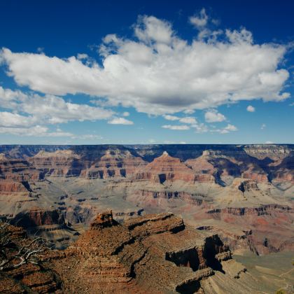 美国洛杉矶4日3晚私家团