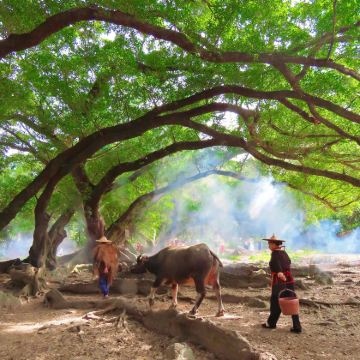 霞浦4日3晚自由行