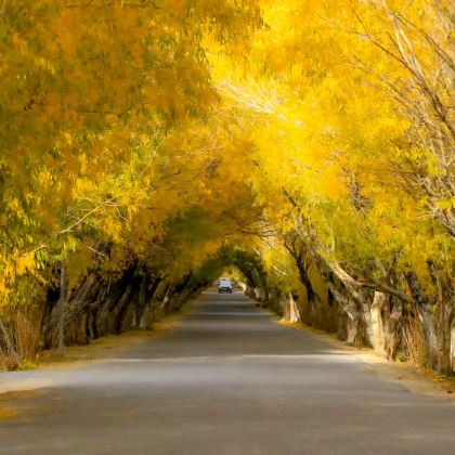 新疆喀什市5日4晚拼小团