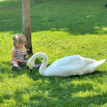 匈牙利+奥地利+捷克11日10晚私家团