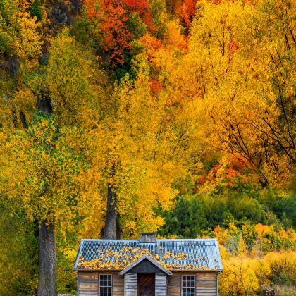 南岛11日9晚私家团
