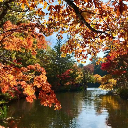 日本名古屋+白川村+高山市+松本市+轻井泽町8日7晚拼小团