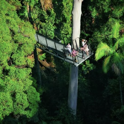 澳大利亚黄金海岸3日2晚跟团游