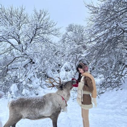 长白山5日4晚拼小团