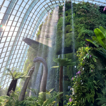 新加坡7日6晚私家团