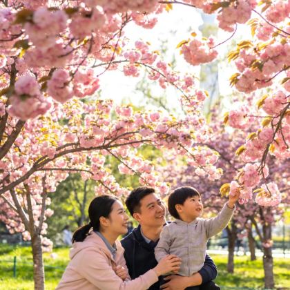 北京4日3晚跟团游
