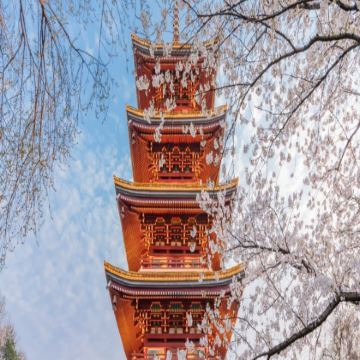 恩施大峡谷+武汉+黄鹤楼5日4晚私家团