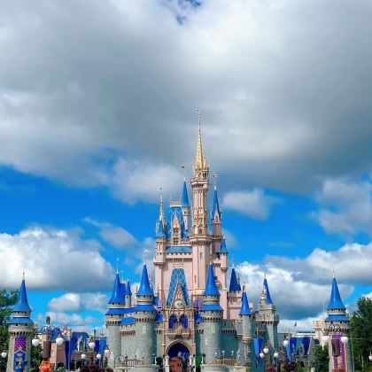 美国奥兰多+迪士尼动物王国+环球冒险岛乐园+迈阿密7日6晚拼小团