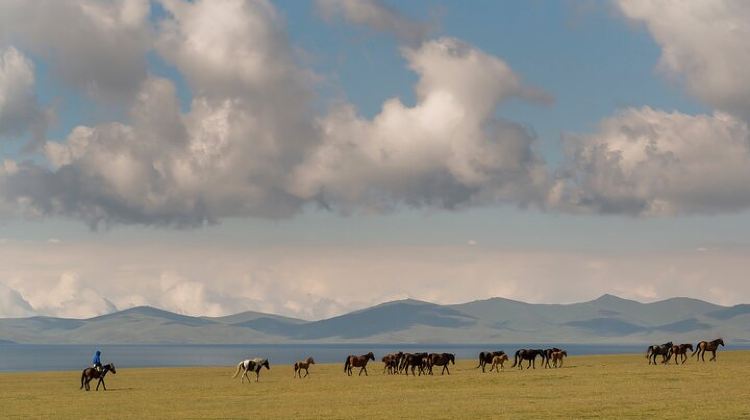2D1N · Group Tours · 2-Day Small-Group Nomadic Adventure to Song Kul Lake