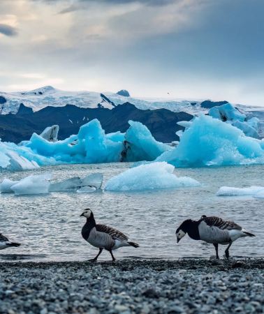9D8N • Iceland - Stay at Blue Lagoon, Visit Iconic Sights & Explore Pristine Nature - Custom Private Itinerary Available