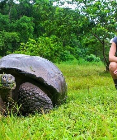 10D9N • 10 Days Galapagos Island Hopping: Santa Cruz & Isabela Island