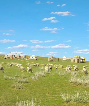 6D5N • “Private airport pickup available upon inquiry” Inner Mongolia: Hohhot + Xilamuren Grasslands + Whistling Dune Bay in Ordos