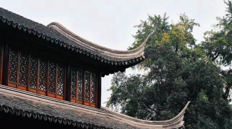 南京+9
