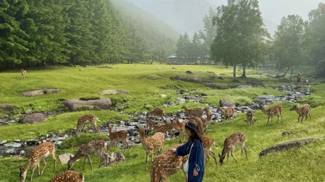 神农架、宜昌+11