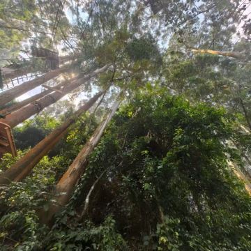 乌干达7日6晚私家团