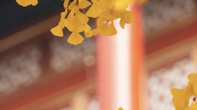 北京6日5晚私家团·【一价全包·爸妈放心游】8顿正餐&5A景点全含【赠】长城往返缆车+黄包车游胡同+观升旗仪式+十三陵定陵｜A线：二环4钻4.8高评分酒店 ；B线：指定住“1环”王府井宝欐｜轮椅等多种服务免费享 专车接送