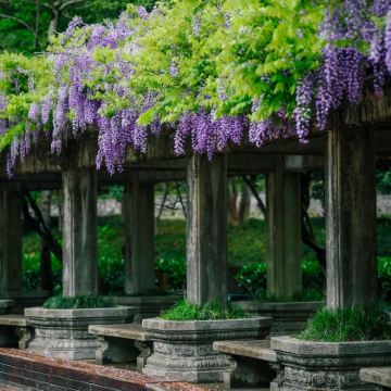 江苏南京4日3晚私家团