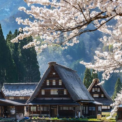 日本名古屋+大阪+京都+奈良7日6晚跟团游