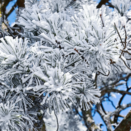 江西南昌+庐山4日3晚拼小团