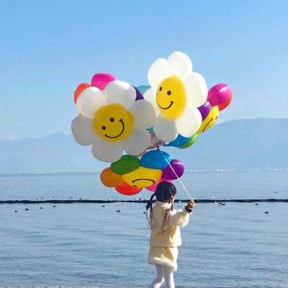 云南丽江+泸沽湖+大理市+玉龙雪山6日5晚跟团游