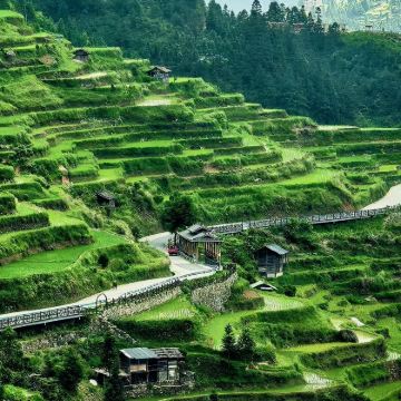 攀枝花+颛顼龙洞旅游景区+迤沙拉民族文化村+新山梯田+二滩国家森林公园6日5晚私家团