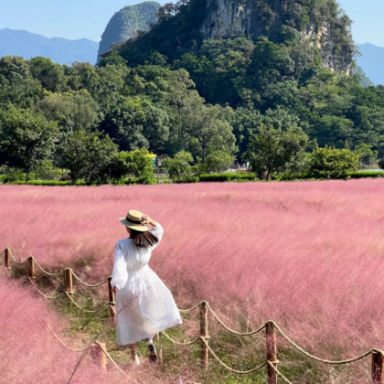 连州+阳山3日2晚跟团游