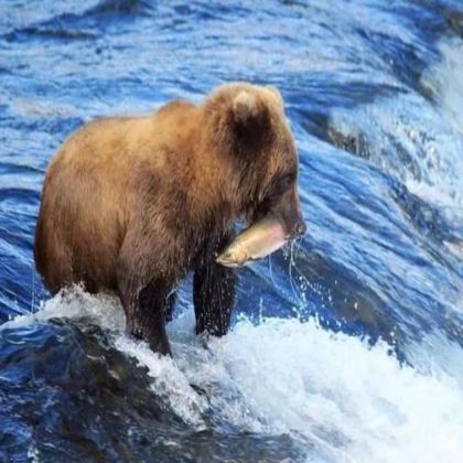 加拿大温哥华+基洛纳+雷夫尔斯托克+班夫+卡尔加里7日6晚拼小团