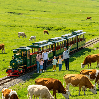 呼和浩特+辉腾锡勒草原+乌兰哈达火山地质公园+响沙湾5日4晚私家团