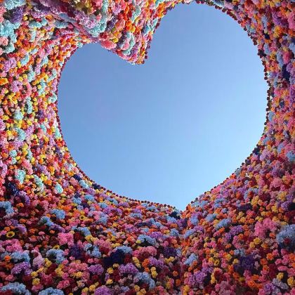 盘锦北旅田园·黑风关古镇2日跟团游