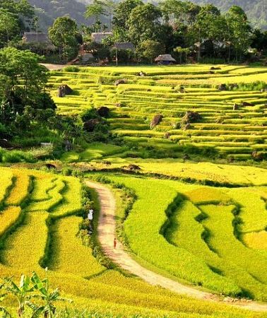 3D2N • 3-Day Sapa Trek, visit Fansipan (cable car) from Hanoi with local