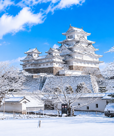 7D6N • Shikoku winter journey with hot spring experience, seasonal scenery and Osaka, Kochi, Matsuyama highlights