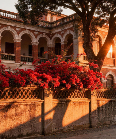 6D5N • Xiamen + Gulangyu + Fujian Tulou + Wuyishan + Tianyou Peak