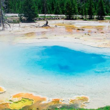 黄石国家公园+大蒂顿国家公园+羚羊峡谷+布莱斯峡谷国家公园+锡安国家公园7日6晚跟团游