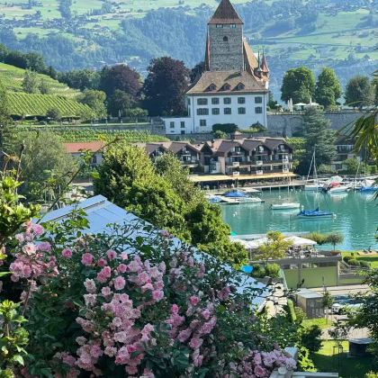 苏黎世+圣加仑+卢塞恩+布里恩茨+图恩+因特拉肯+采尔马特+洛桑+伯尔尼10日9晚私家团