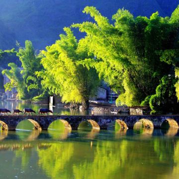 广西南宁+德天跨国瀑布景区+通灵大峡谷+鹅泉+峒那屿湾景区5日4晚跟团游