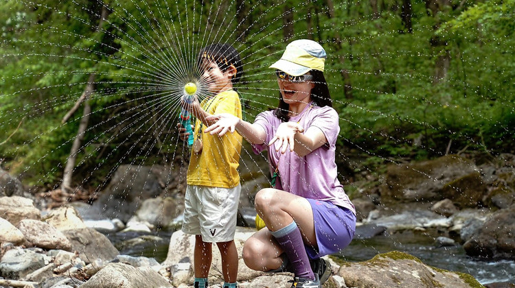 【长沙出发】长沙+张家界+天门山+大峡谷+凤凰古城+岳阳+衡阳9日8晚私家团