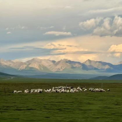 青海西宁+玛多+玉树市+曲麻莱+可可西里国家级自然保护区+格尔木+茫崖+大柴旦10日9晚私家团