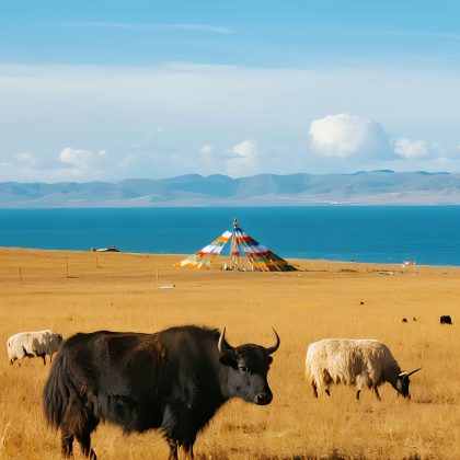 青海湖景区+鸣沙山月牙泉+张掖七彩丹霞旅游景区+嘉峪关关城8日7晚私家团