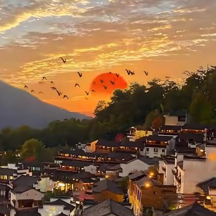 黄山+婺源篁岭景区+塔川+木坑竹海+西递+宏村景区+塔川古树林5日4晚私家团