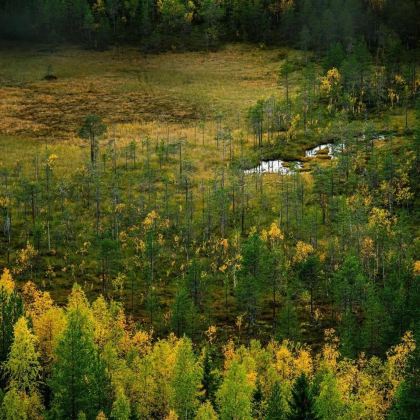 芬兰+挪威+瑞典9日8晚自由行