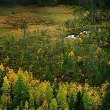芬兰+挪威+瑞典9日8晚自由行